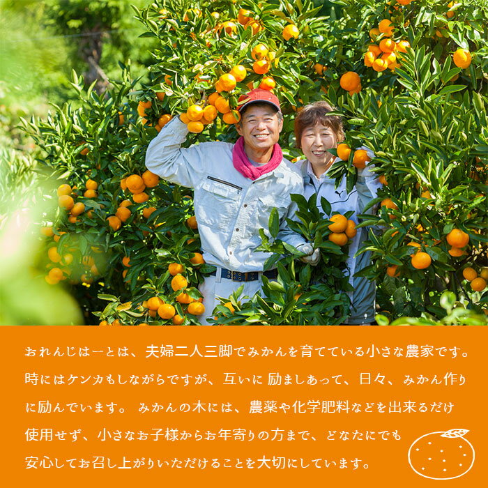 【ふるさと納税】先行予約 ＜温州みかん 約5kg/10kg＞ 選べる 柑橘 みかん ミカン 蜜柑 果物 くだもの フルーツ オレンジ うんしゅうみかん 国産 愛媛県産 特産品 おれんじはーと 食べて応援 西宇和 愛媛県 西予市 【常温】『2025年11月中旬～12月中旬迄に順次出荷予定』 サムネイル3