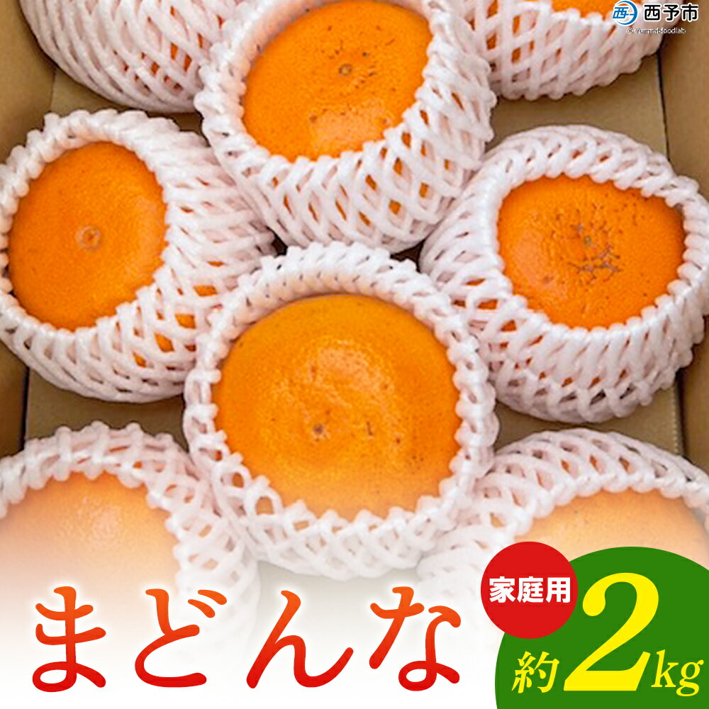 先行予約 紅まどんなと同品種！＜まどんな 家庭用 約2kg＞ 柑橘 みかん ミカン 蜜柑 果物 フルーツ オレンジ 紅マドンナ マドンナ 訳あり 国産 愛媛産 特産品 おれんじはーと 食べて応援 西宇和 愛媛県 西予市 【常温】『2025年11月中旬から順次出荷予定』