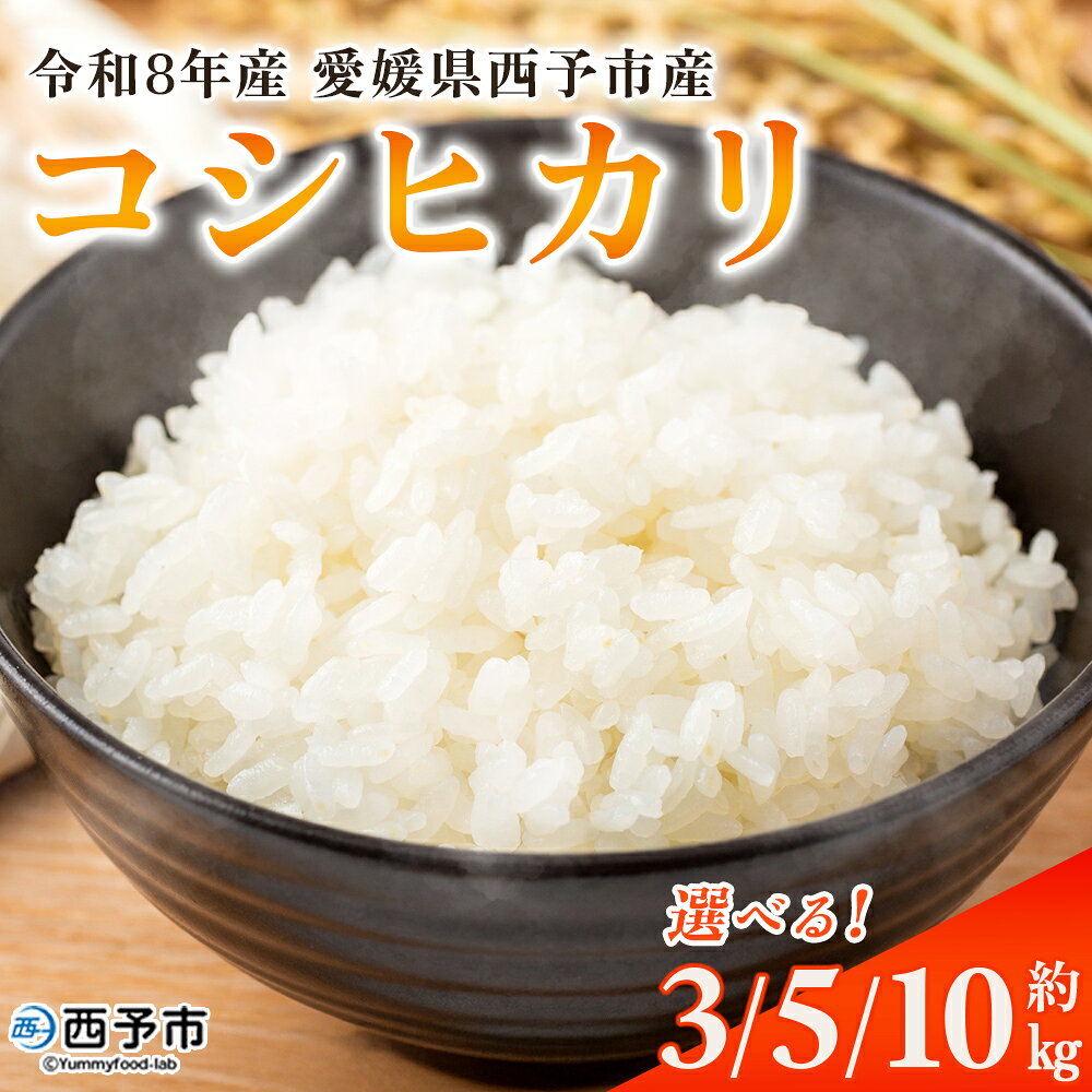 新米＜令和8年産 コシヒカリ 3kg・5kg・10kg＞国産 愛媛県産 宇和町産 宇和米 こしひかり お米 米 コメ こめ 白米 精米 ご飯 新鮮 3キロ 5キロ 10キロ 選べる 特産品 大塚農園 愛媛県 西予市【常温】『2026年10月・11月頃から順次発送予定』
