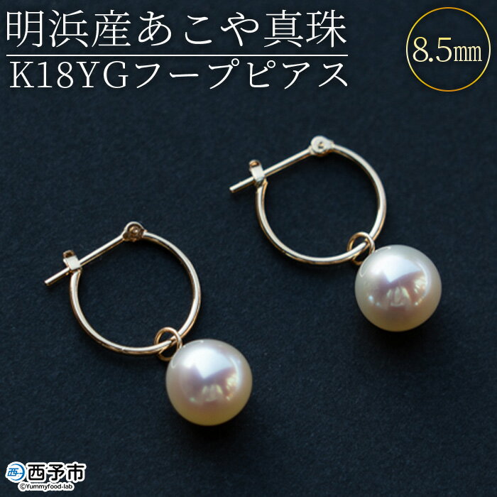 ＜明浜産あこや真珠8.5mm K18YGフープピアス＞ アコヤ真珠 パール パールチャーム ジュエリー アクセサリー プレゼント ギフト 贈答 記念日 品質保証書付き ナチュラルカラー シンプル PRAY akoyapearl 愛媛県 西予市 【常温】『1か月以内に順次出荷予定』