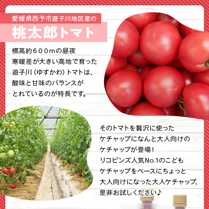【ふるさと納税】＜ちょっぴりピリ辛で大人も満足！大人ケチャップ 4個セット＞ とまと 野菜 完熟 柚子胡椒 こしょう 調味料 辛口 パスタソース チリソース ギフト 贈り物 食べて応援 国産 特産品 遊子川ザ・リコピンズ 愛媛県 西予市【常温】『最短10営業日以内に発送予定』 サムネイル3