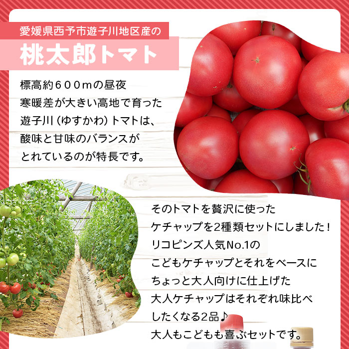 【ふるさと納税】＜親子で使える こども＆大人ケチャップ 食べ比べセット 合計4個（各種2個）＞ とまと 野菜 完熟 調味料 子供 パスタソース 辛口 詰め合わせ ギフト 食べて応援 国産 特産品 遊子川ザ・リコピンズ 愛媛県 西予市【常温】『最短10営業日以内に順次発送予定』 サムネイル3