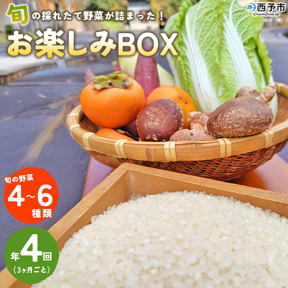 ＜旬の採れたて野菜が詰まったお楽しみBOX（3か月ごと年4回の定期便）＞ 西予市遊子川産 農家さんの顔が見える野菜 定期便 野菜 食べて応援 特産品 遊子川ザ・リコピンズ 愛媛県 西予市【常温】『【1回目】毎月末日までの申込で翌月中旬より順次発送』