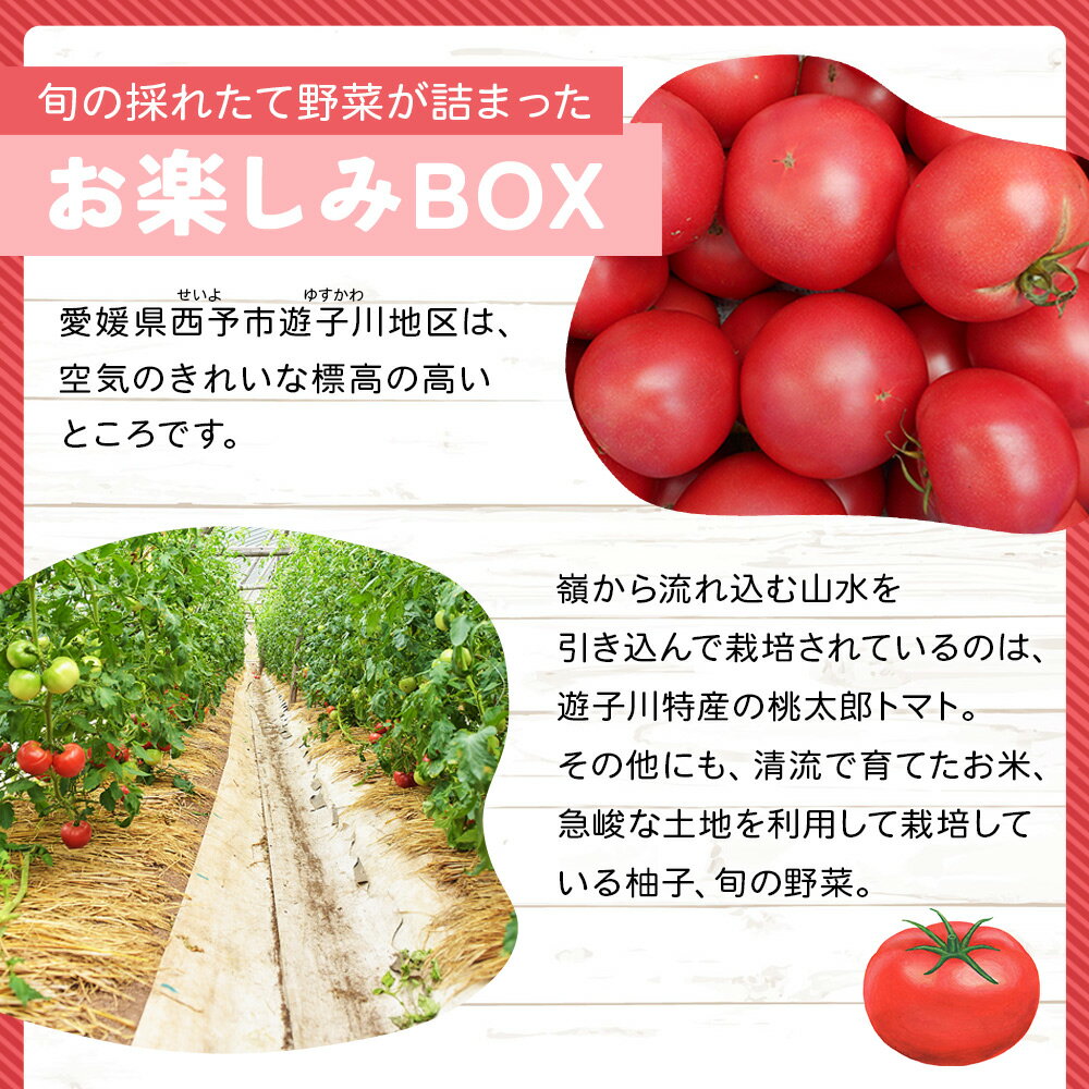 【ふるさと納税】＜旬の採れたて野菜が詰まったお楽しみBOX（3か月ごと年4回の定期便）＞ 西予市遊子川産 農家さんの顔が見える野菜 定期便 野菜 食べて応援 特産品 遊子川ザ・リコピンズ 愛媛県 西予市【常温】『【1回目】毎月末日までの申込で翌月中旬より順次発送』 - 画像2