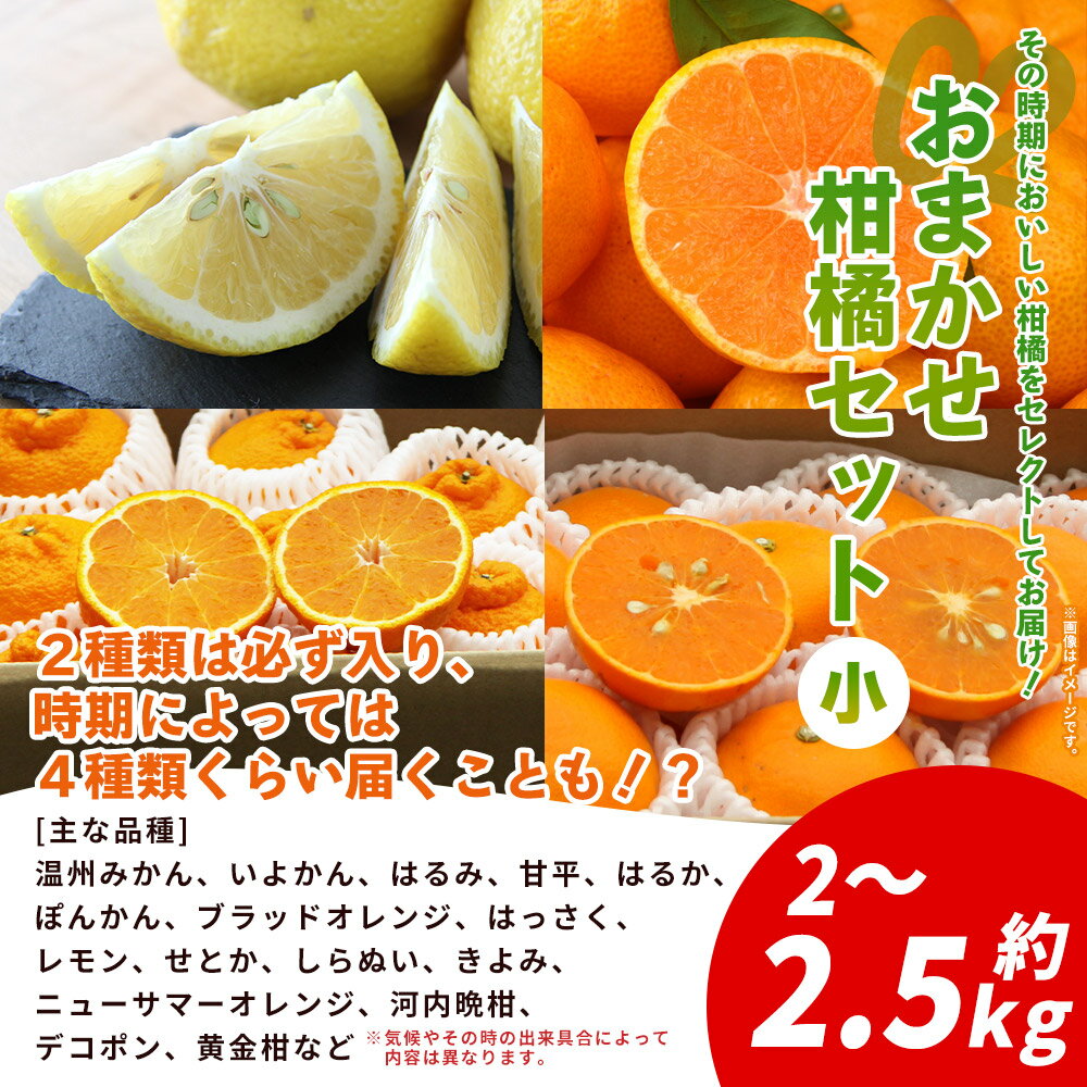 【ふるさと納税】＜西予の美味しい柑橘セレクト（ご家庭用）＞ 発送時期が選べる 果物 くだもの フルーツ 蜜柑 みかん ミカン 柑橘 ご家庭用 温州みかん 食べて応援 国産 愛媛県産 特産品 西予みかん倶楽部 愛媛県 西予市【常温】 サムネイル3