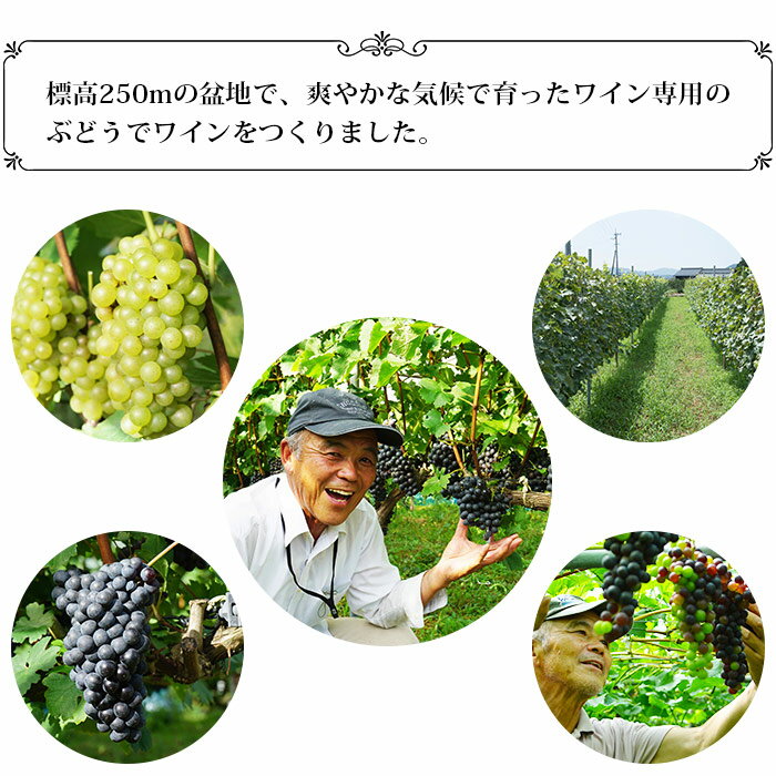 【ふるさと納税】＜光ワイン「白」「ロゼ」720ml 2本セット（各1本）＞ 白ワイン ロゼワイン 飲み比べ お酒 アルコール お祝い 内祝い 家飲み 宅飲み 乾杯 光農場 特産品 愛媛県 西予市【常温】『1か月以内に順次出荷予定』 サムネイル2