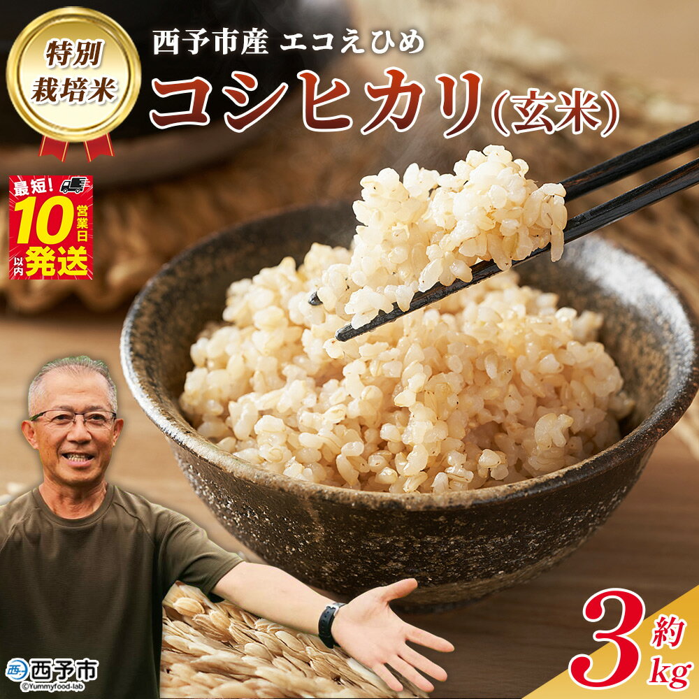 ＜令和7年産 西予市産 特別栽培米 エコえひめ コシヒカリ 玄米 約3kg＞国産 農薬・化学肥料不使用 一等米 3キロ 愛媛県産 こしひかり お米 米 コメ げんまい 産地直送 送料無料 シゲちゃん農園 愛媛県 西予市【常温】『最短10営業日以内に順次発送予定』