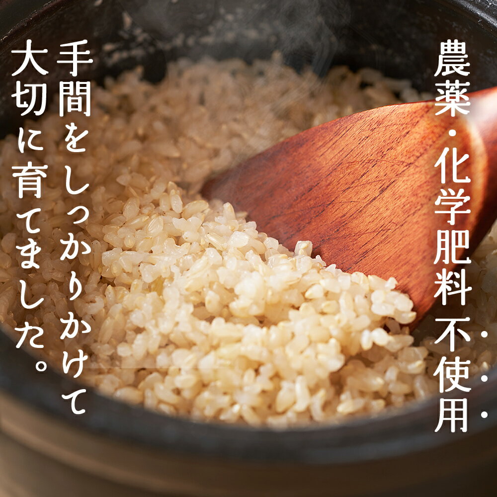 【ふるさと納税】＜令和7年産 西予市産 特別栽培米 エコえひめ コシヒカリ 玄米 約3kg＞国産 農薬・化学肥料不使用 一等米 3キロ 愛媛県産 こしひかり お米 米 コメ げんまい 産地直送 送料無料 シゲちゃん農園 愛媛県 西予市【常温】『最短10営業日以内に順次発送予定』 - 画像3