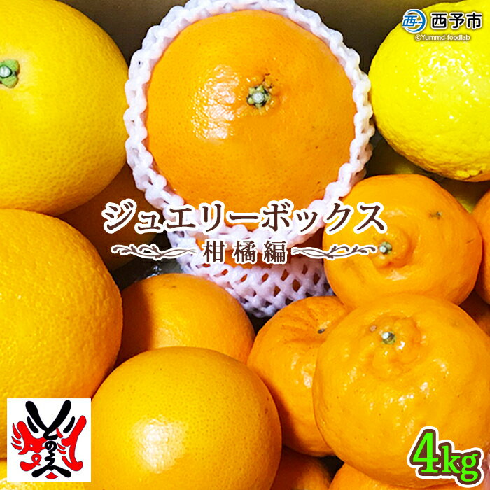 ＜愛媛県明浜産 ジュエリーボックス(柑橘編) 柑橘多品種 計約4kg＞ みかん ミカン せとか きよみ いよかん ばんかん はるか 果物 フルーツ デザート 渡江から一歩を踏み出す会 特産品 愛媛県 西予市 【常温】『ご希望の配送月をお選びください』