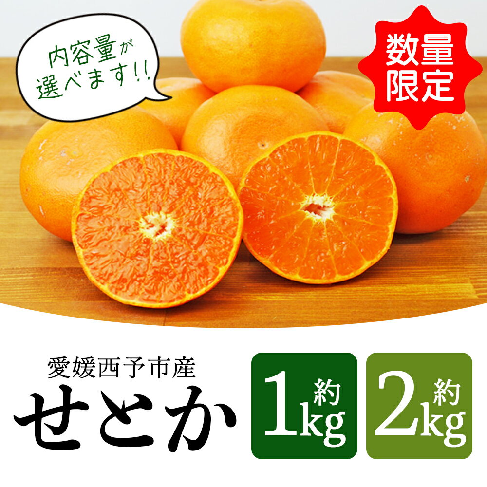【ふるさと納税】数量限定＜愛媛西予市産 せとか 約1kg／2kg＞ 果物 くだもの フルーツ 柑橘類 ミカン みかん 甘い 特産品 糖度 家庭用 自宅用 産地直送 渡江から一歩を踏み出す会 食べて応援 愛媛県 西予市 【常温】『2026年3月上旬～3月下旬順次発送予定』 サムネイル3