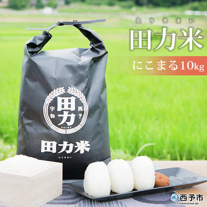 ＜令和7年産 田力米 10kg にこまる＞お米 こめ コメ 白米 精米 ご飯 ごはん 特産品 産地直送 田力本願 愛媛県 西予市【常温】『2025年10月下旬より順次出荷予定』