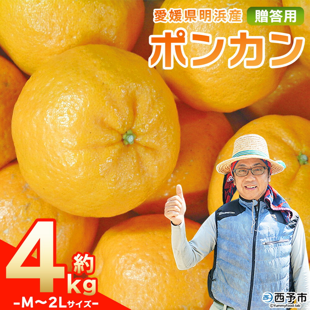 先行予約＜明浜産 ポンカン M～2Lサイズ 約4kg 贈答用＞ 果物 くだもの フルーツ 蜜柑 みかん ミカン 柑橘 贈答 ギフト ぽんかん 食べて応援 国産 愛媛県産 特産品 俵津農地ヘルパー組合 愛媛県 西予市【常温】『2026年1月から2月迄に順次出荷予定』