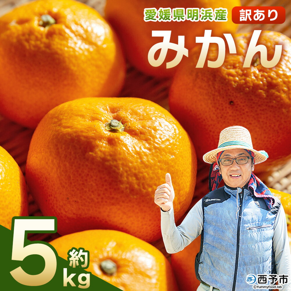 先行予約＜明浜産 訳あり みかん 約5kg＞ 果物 くだもの フルーツ 蜜柑 みかん ミカン 柑橘 ワケアリ 家庭用 食べて応援 国産 愛媛県産 特産品 俵津農地ヘルパー組合 愛媛県 西予市【常温】『2025年11月から12月迄に順次出荷予定』