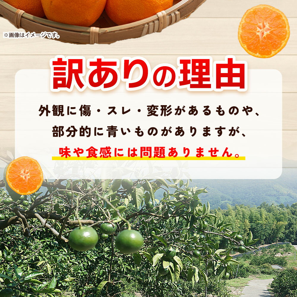 【ふるさと納税】先行予約＜明浜産 訳あり みかん 約5kg＞ 果物 くだもの フルーツ 蜜柑 みかん ミカン 柑橘 ワケアリ 家庭用 食べて応援 国産 愛媛県産 特産品 俵津農地ヘルパー組合 愛媛県 西予市【常温】『2025年11月から12月迄に順次出荷予定』 サムネイル3