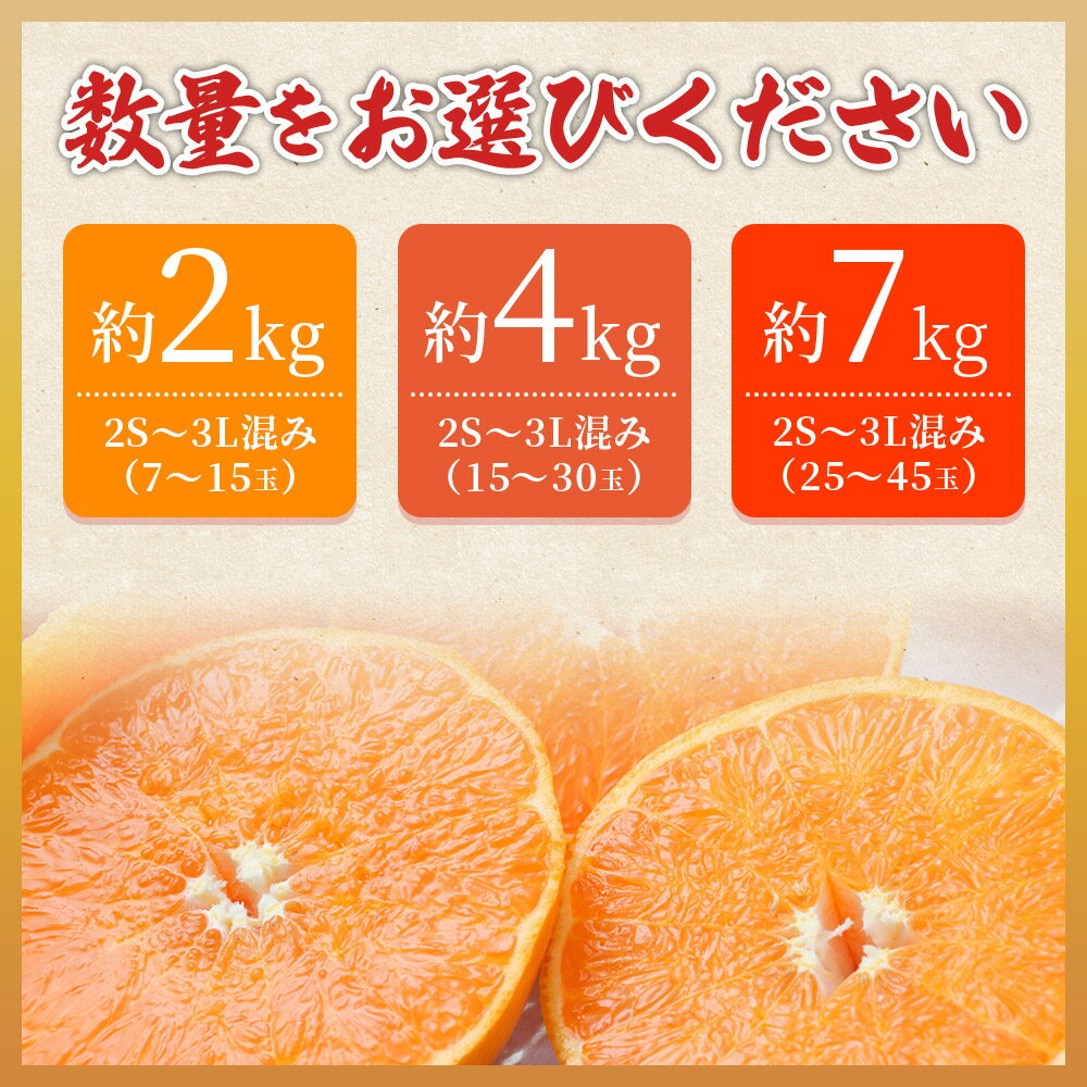 【ふるさと納税】先行予約＜愛媛県西予市産 せとか ご家庭用 約2kg／4kg／7kg＞ 訳あり 不揃い 傷 果物 フルーツ みかん ミカン 蜜柑 セトカ オレンジ 柑橘類 選べる 甘い 期間限定 食べて応援 特産品 宇都宮物産 【常温】『2026年2月下旬～4月上旬迄に順次出荷予定』 サムネイル3