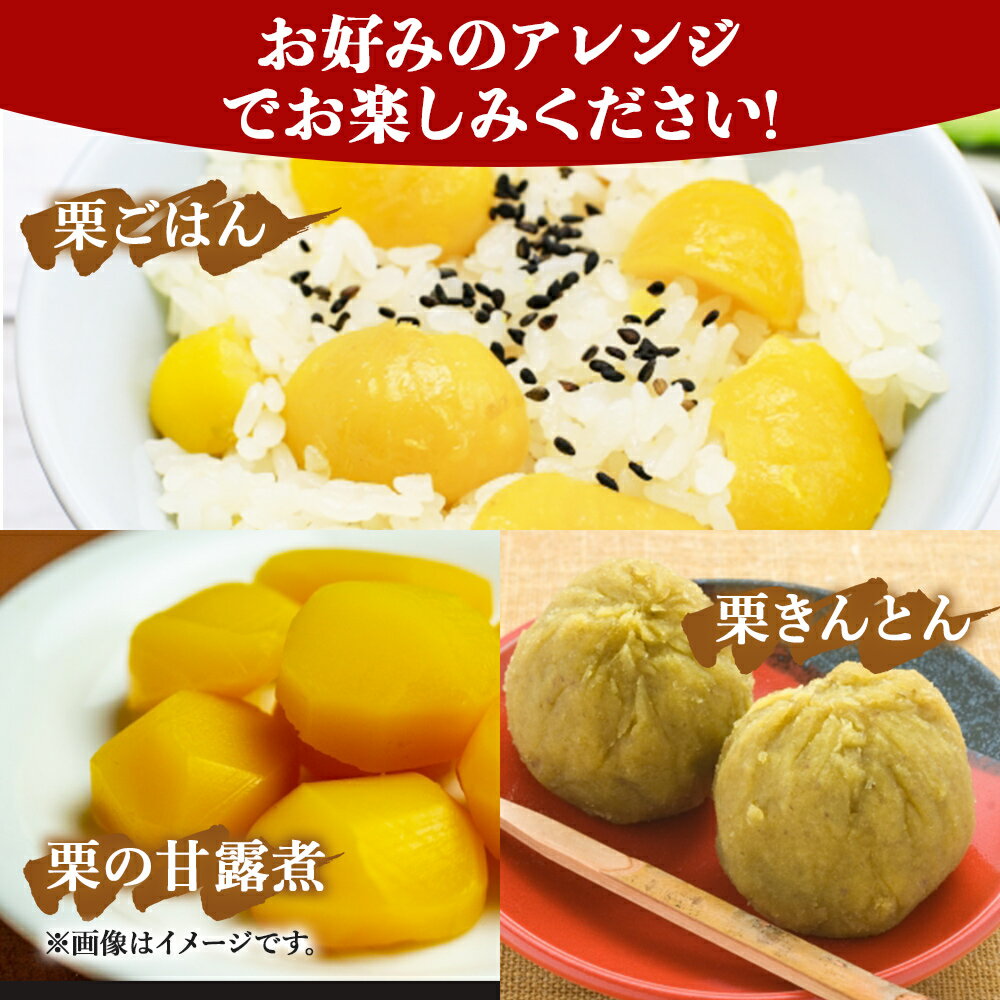 【ふるさと納税】＜栗 約1kg／2kg／3kg（2Lまたは3Lサイズ）愛媛県西予市産＞ 選べる 中生栗 完熟栗 和栗 クリ くり 果物 フルーツ マロン モンブラン 栗ご飯 栗きんとん 甘露煮 旬 特産品 国産 秋の味覚 宇都宮物産【冷蔵】『2025年9月上旬～10月中旬迄に順次出荷予定』 サムネイル3