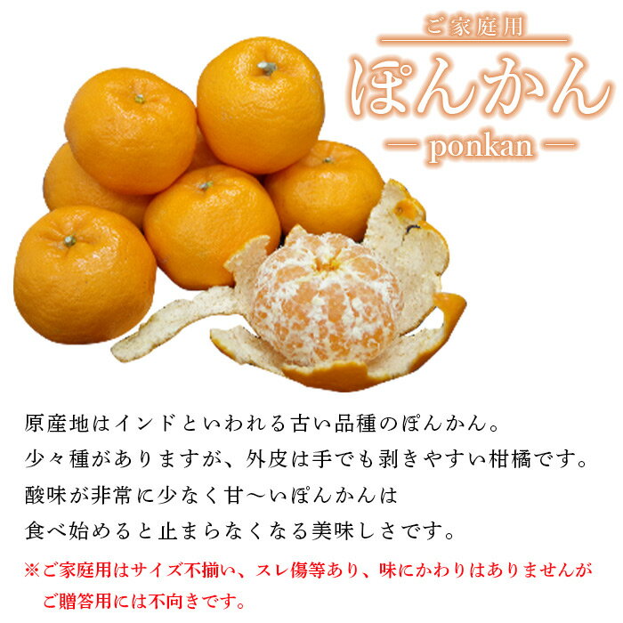 【ふるさと納税】先行予約受付＜愛媛県西予市産 ぽんかん ご家庭用 約4kg＞約15〜30個入り 訳あり 果物 くだもの フルーツ みかん ミカン オレンジ ポンカン 柑橘 特産品 愛媛県 西予市【常温】『2026年1月上旬～2月下旬迄に順次出荷予定』 サムネイル2