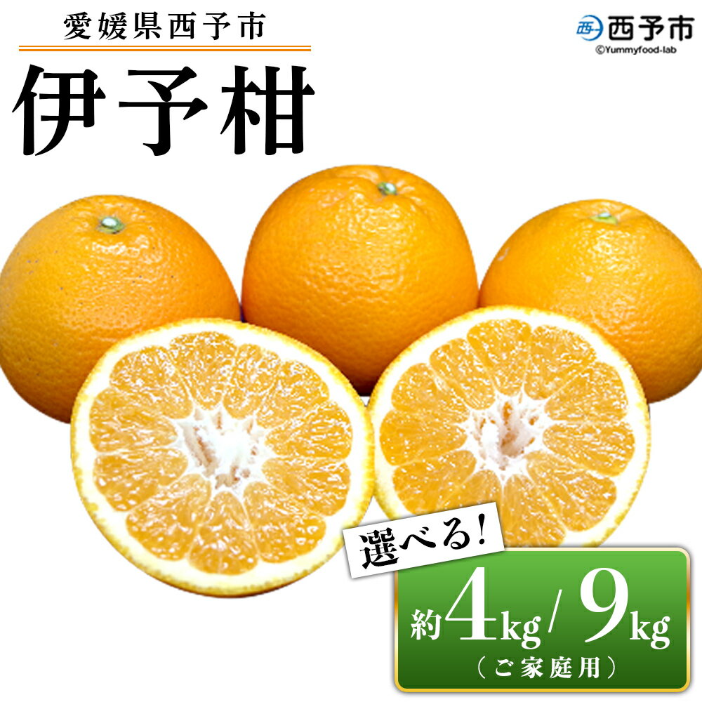 ＜愛媛県西予市産 伊予柑 ご家庭用 約4kg／9kg＞ 訳あり 果物 くだもの フルーツ みかん ミカン オレンジ 柑橘 イヨカン いよかん 選べる 食べて応援 特産品 宇都宮物産 愛媛県 西予市【常温】『2026年1月上旬～2月下旬迄に順次出荷予定』