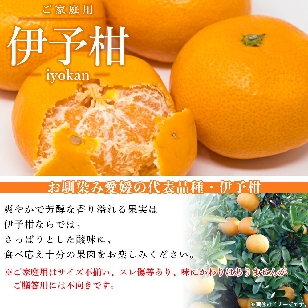 【ふるさと納税】＜愛媛県西予市産 伊予柑 ご家庭用 約4kg／9kg＞ 訳あり 果物 くだもの フルーツ みかん ミカン オレンジ 柑橘 イヨカン いよかん 選べる 食べて応援 特産品 宇都宮物産 愛媛県 西予市【常温】『2026年1月上旬～2月下旬迄に順次出荷予定』 サムネイル2