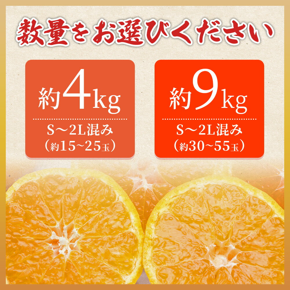 【ふるさと納税】＜愛媛県西予市産 伊予柑 ご家庭用 約4kg／9kg＞ 訳あり 果物 くだもの フルーツ みかん ミカン オレンジ 柑橘 イヨカン いよかん 選べる 食べて応援 特産品 宇都宮物産 愛媛県 西予市【常温】『2026年1月上旬～2月下旬迄に順次出荷予定』 サムネイル3