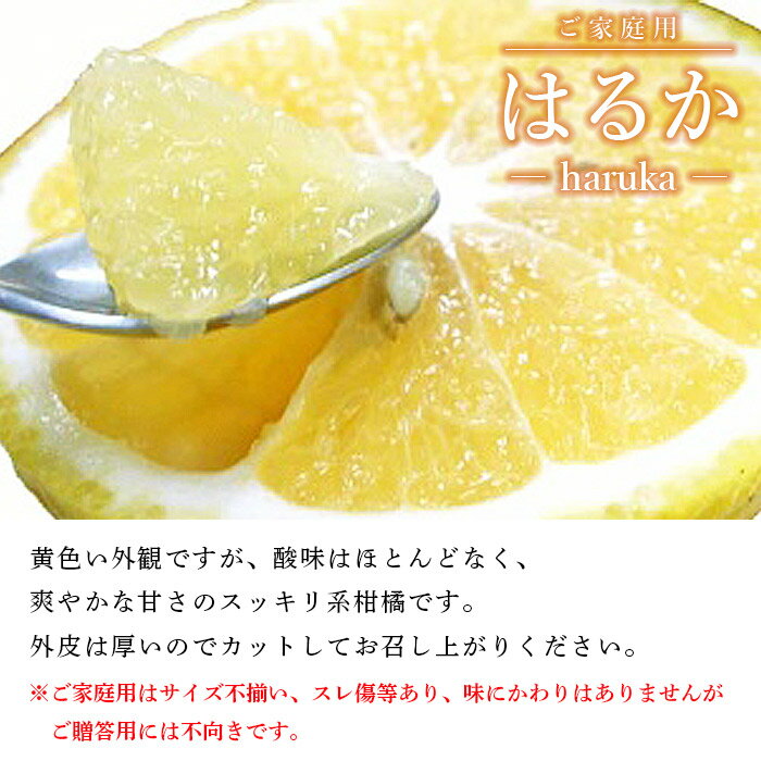 【ふるさと納税】先行予約＜愛媛県西予市産 はるか ご家庭用 約4kg＞約15～30個入 訳あり ご自宅用 果物 フルーツ ハルカ みかん ミカン オレンジ 柑橘類 旬 期間限定 食べて応援 特産品 愛媛県 西予市【常温】『2026年2月中旬～4月下旬迄に順次出荷予定』 サムネイル2
