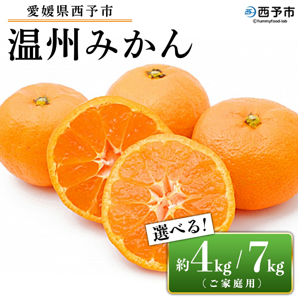 先行予約受付 ＜愛媛県西予市産 温州みかん ご家庭用 約4kg／7kg＞ 訳あり わけあり 果物 フルーツ みかん ミカン 蜜柑 オレンジ 柑橘 選べる 食べて応援 特産品 宇都宮物産 愛媛県 西予市【常温】『2025年10月中旬～2026年1月中旬迄に順次出荷予定』