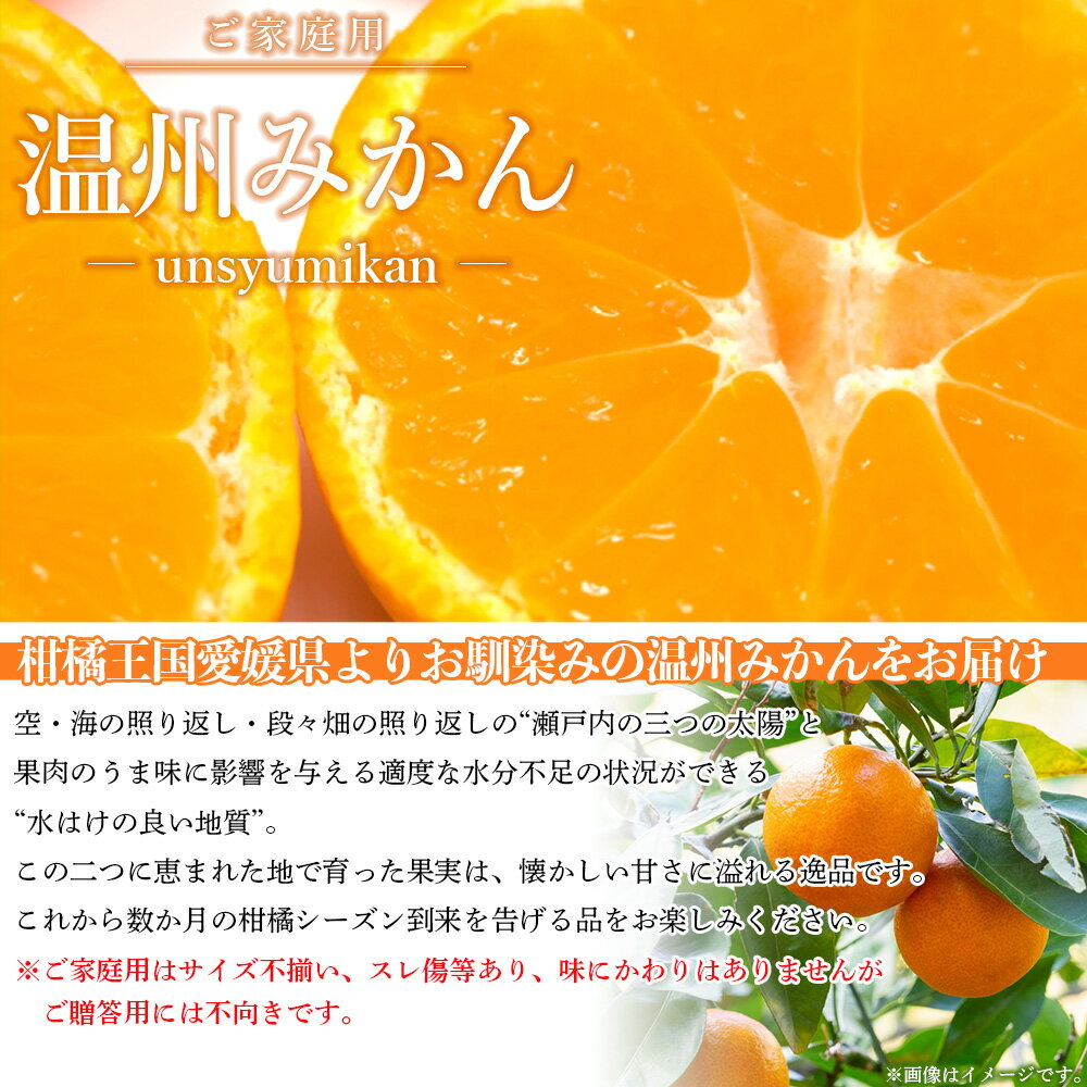 【ふるさと納税】先行予約受付 ＜愛媛県西予市産 温州みかん ご家庭用 約4kg／7kg＞ 訳あり わけあり 果物 フルーツ みかん ミカン 蜜柑 オレンジ 柑橘 選べる 食べて応援 特産品 宇都宮物産 愛媛県 西予市【常温】『2025年10月中旬～2026年1月中旬迄に順次出荷予定』 サムネイル2
