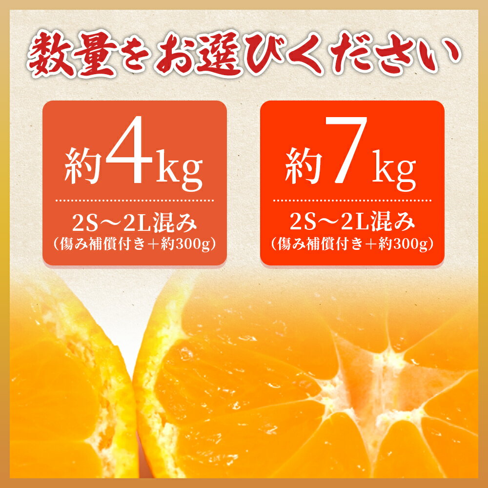 【ふるさと納税】先行予約受付 ＜愛媛県西予市産 温州みかん ご家庭用 約4kg／7kg＞ 訳あり わけあり 果物 フルーツ みかん ミカン 蜜柑 オレンジ 柑橘 選べる 食べて応援 特産品 宇都宮物産 愛媛県 西予市【常温】『2025年10月中旬～2026年1月中旬迄に順次出荷予定』 サムネイル3