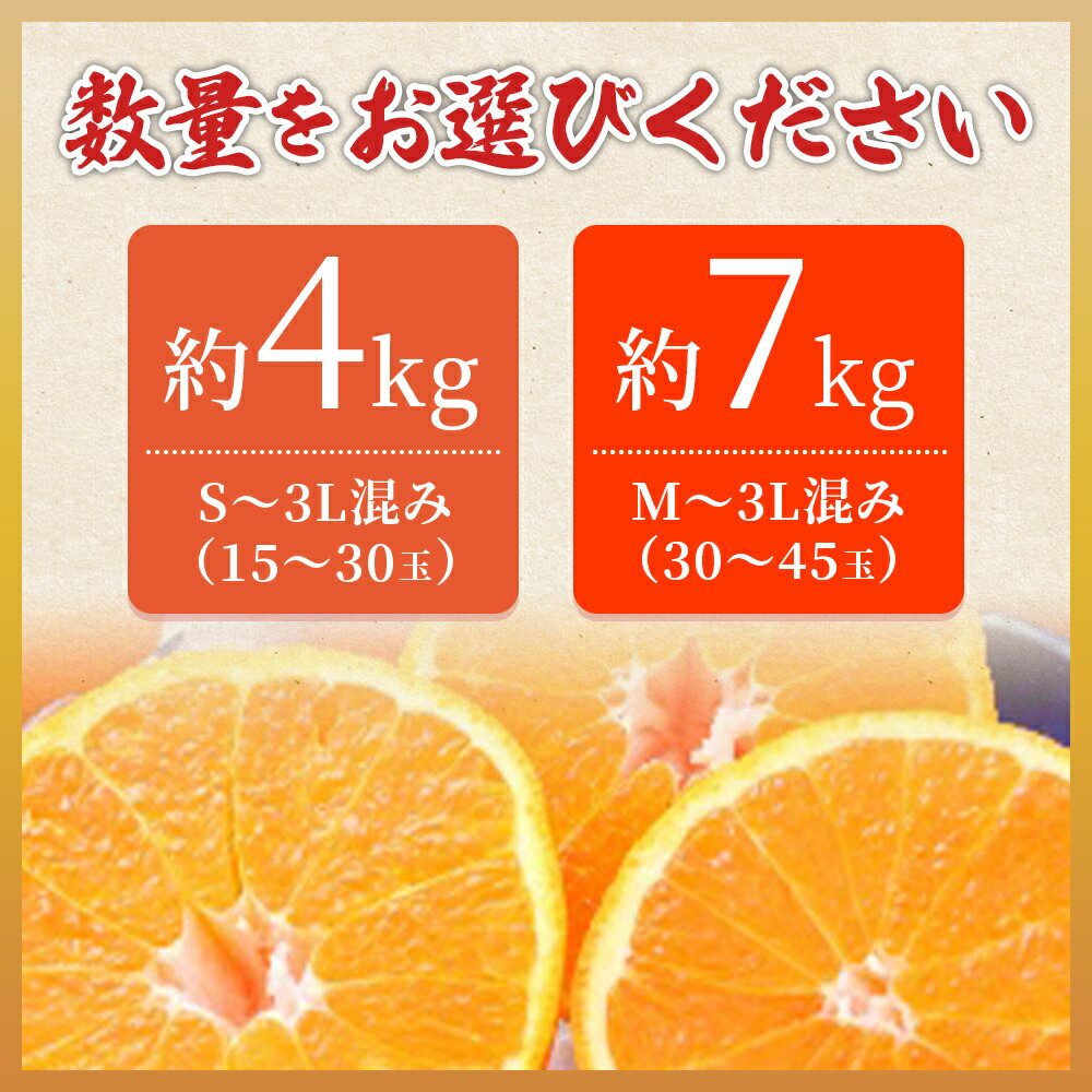 【ふるさと納税】先行予約＜愛媛県西予市産 デコヒメ ご家庭用 約4kg／7kg＞ 訳あり ワケアリ 果物 フルーツ みかん ミカン 蜜柑 オレンジ 柑橘 でこひめ 選べる内容量 食べて応援 特産品 宇都宮物産 愛媛県 西予市【常温】『2026年2月上旬～4月上旬迄に順次出荷予定』 サムネイル3