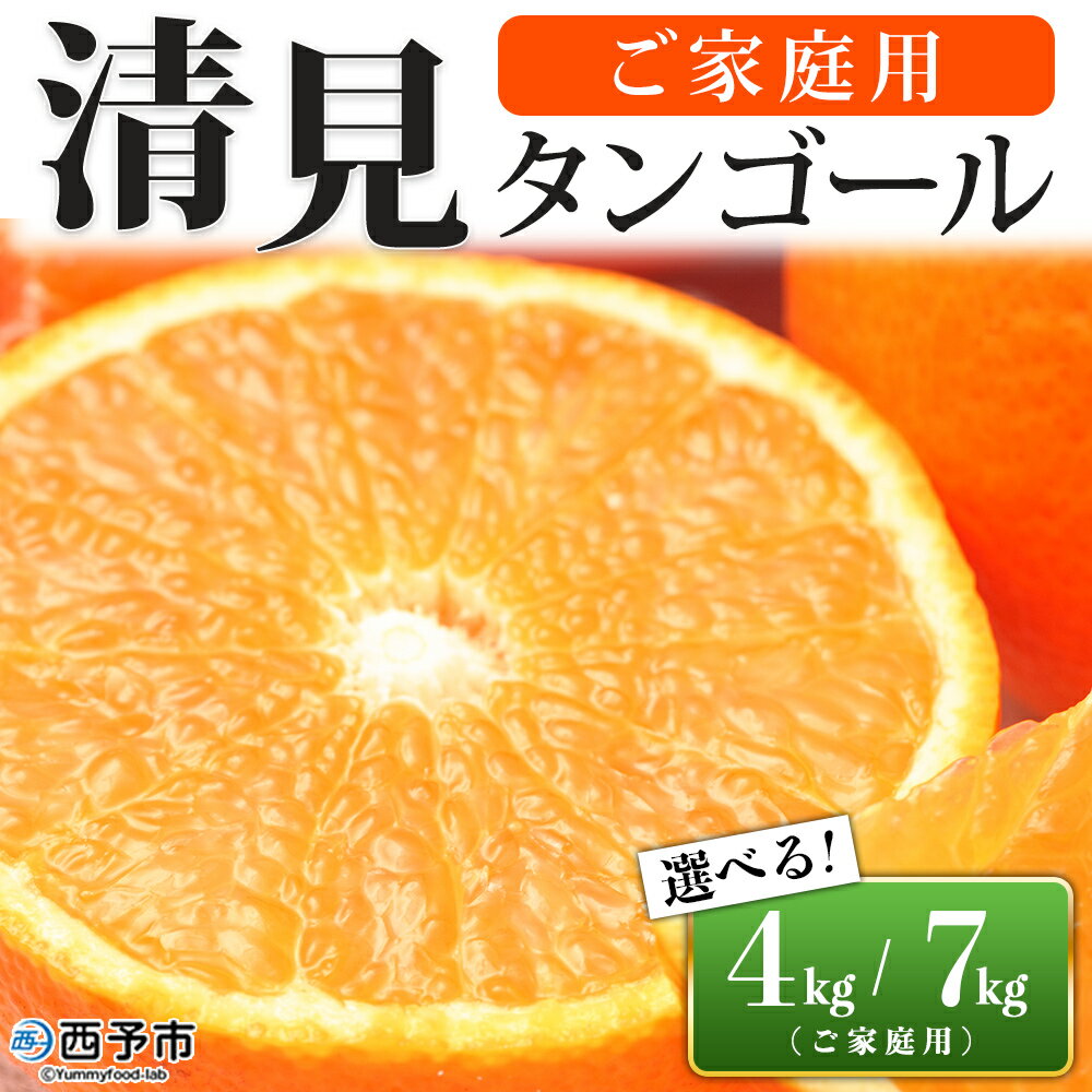 先行予約＜愛媛県西予市産 清見タンゴール ご家庭用 約4kg／7kg＞ 訳あり ワケアリ 果物 フルーツ みかん ミカン 蜜柑 オレンジ きよみ キヨミ 柑橘類 食べて応援 旬 特産品 宇都宮物産 愛媛県 西予市【常温】『2026年3月上旬～5月上旬迄に順次出荷予定』