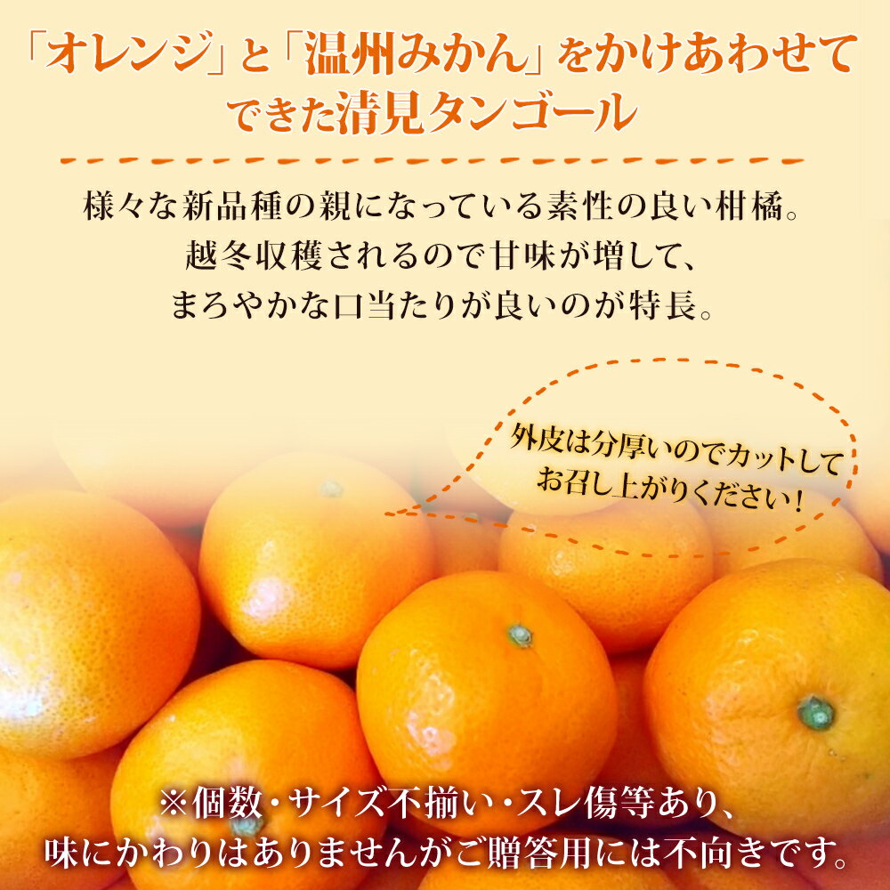 【ふるさと納税】先行予約＜愛媛県西予市産 清見タンゴール ご家庭用 約4kg／7kg＞ 訳あり ワケアリ 果物 フルーツ みかん ミカン 蜜柑 オレンジ きよみ キヨミ 柑橘類 食べて応援 旬 特産品 宇都宮物産 愛媛県 西予市【常温】『2026年3月上旬～5月上旬迄に順次出荷予定』 サムネイル2