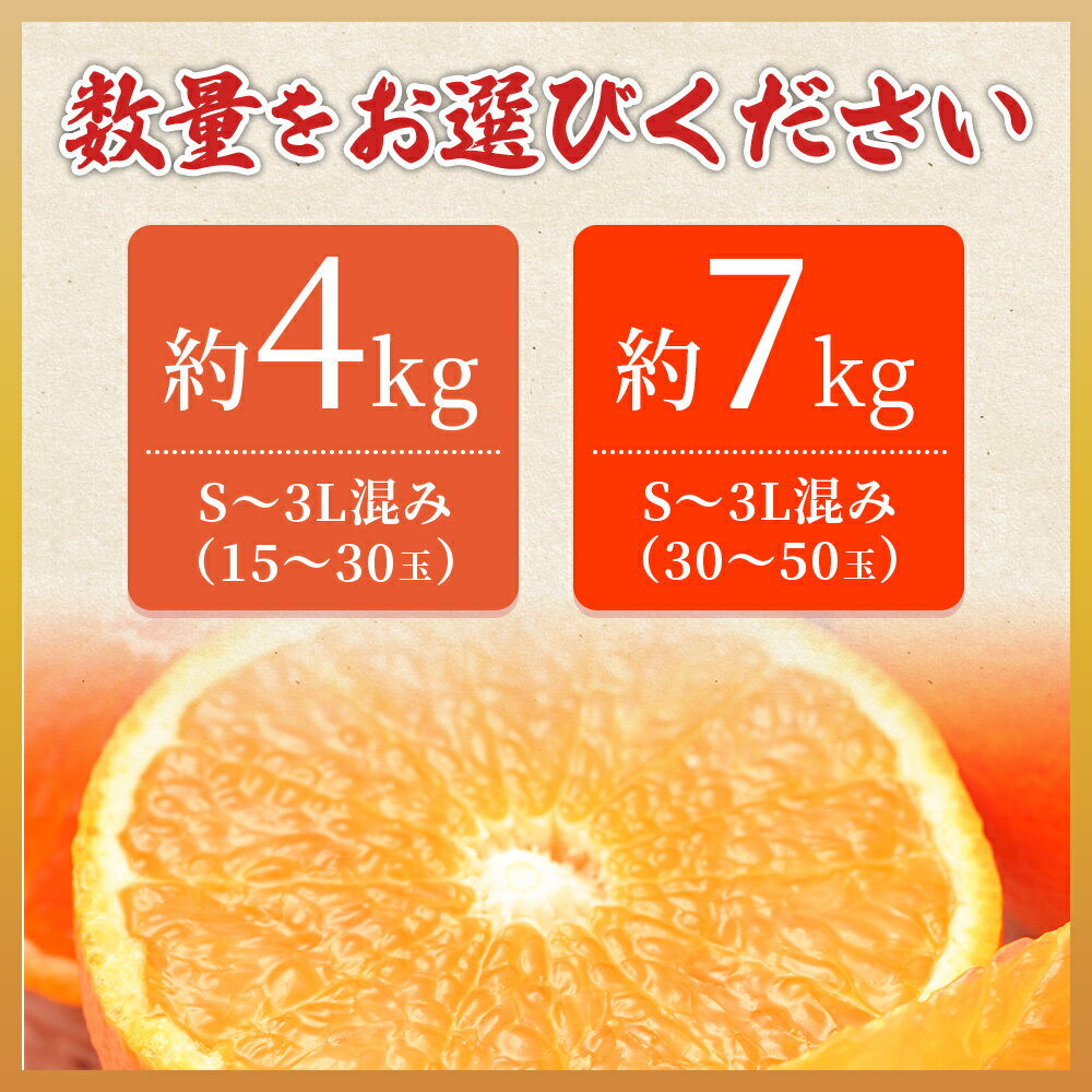 【ふるさと納税】先行予約＜愛媛県西予市産 清見タンゴール ご家庭用 約4kg／7kg＞ 訳あり ワケアリ 果物 フルーツ みかん ミカン 蜜柑 オレンジ きよみ キヨミ 柑橘類 食べて応援 旬 特産品 宇都宮物産 愛媛県 西予市【常温】『2026年3月上旬～5月上旬迄に順次出荷予定』 サムネイル3