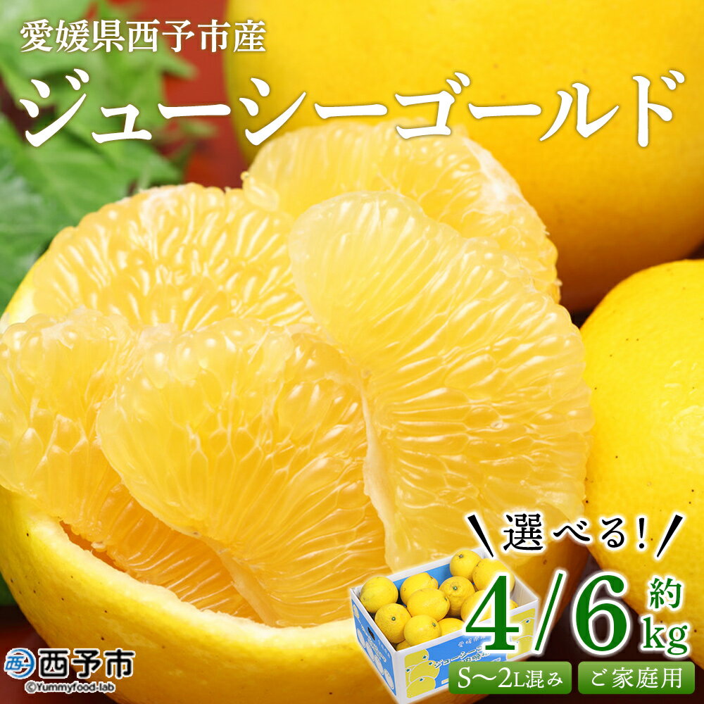 先行予約＜ジューシーゴールド（河内晩柑） ご家庭用 約4kg／6kg＞ 訳あり 果物 フルーツ かわちばんかん じゅーしーごーるど みかん 蜜柑 オレンジ 柑橘 食べて応援 特産品 宇都宮物産 愛媛県 西予市 【常温】『2026年4月中旬～6月中旬迄に順次出荷予定』