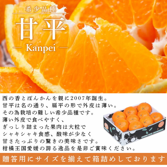 【ふるさと納税】＜愛媛県西予市産 甘平 約2.5kg（約7～15個入）＞ 果物 フルーツ 柑橘 みかん ミカン オレンジ かんぺい カンペイ 甘い 期間限定 季節限定 贈答用 ギフト プレゼント 食べて応援 特産品 愛媛県 西予市【常温】『2026年2月上旬～3月上旬迄に順次出荷予定』 サムネイル2