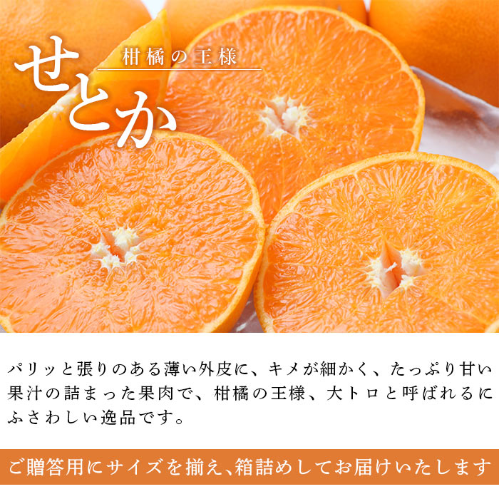 【ふるさと納税】＜せとか 約2.5kg（約7～15個入）＞ 果物 フルーツ くだもの みかん ミカン 蜜柑 セトカ オレンジ 柑橘類 甘い 食べて応援 贈答用 ギフト プレゼント 贈り物 期間限定 数量限定 旬 特産品 愛媛県 西予市【常温】『2026年2月下旬～3月下旬迄に順次出荷予定』 サムネイル2
