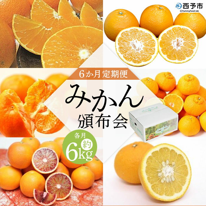 ＜6か月定期便 みかん頒布会 3種×約2kg＞ 果物 フルーツ みかん ミカン 柑橘 柿 オレンジ まどんな ブラッドオレンジ なつみ はるか ネーブル ポンカン 甘夏 食べて応援 特産品 愛媛県 西予市【常温】『2025年12月に第1回目を順次出荷予定』