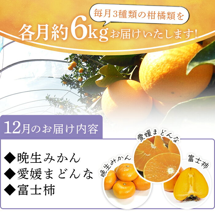 【ふるさと納税】＜6か月定期便 みかん頒布会 3種×約2kg＞ 果物 フルーツ みかん ミカン 柑橘 柿 オレンジ まどんな ブラッドオレンジ なつみ はるか ネーブル ポンカン 甘夏 食べて応援 特産品 愛媛県 西予市【常温】『2025年12月に第1回目を順次出荷予定』 サムネイル2