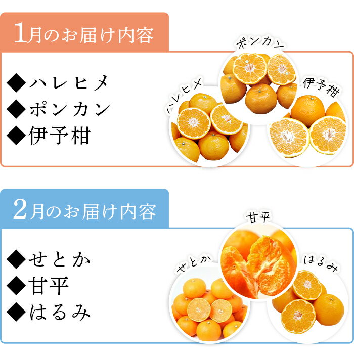 【ふるさと納税】＜6か月定期便 みかん頒布会 3種×約2kg＞ 果物 フルーツ みかん ミカン 柑橘 柿 オレンジ まどんな ブラッドオレンジ なつみ はるか ネーブル ポンカン 甘夏 食べて応援 特産品 愛媛県 西予市【常温】『2025年12月に第1回目を順次出荷予定』 サムネイル3
