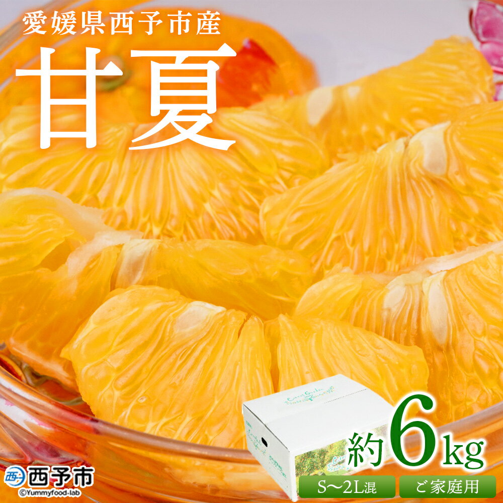 ＜愛媛県西予市産 甘夏 ご家庭用 約6kg＞ 訳あり S～2Lサイズ混合 果物 くだもの フルーツ みかん ミカン 蜜柑 あまなつ オレンジ 柑橘 不揃い 食べて応援 特産品 宇都宮物産 愛媛県 西予市【常温】『2026年3月中旬～5月中旬迄に順次出荷予定』
