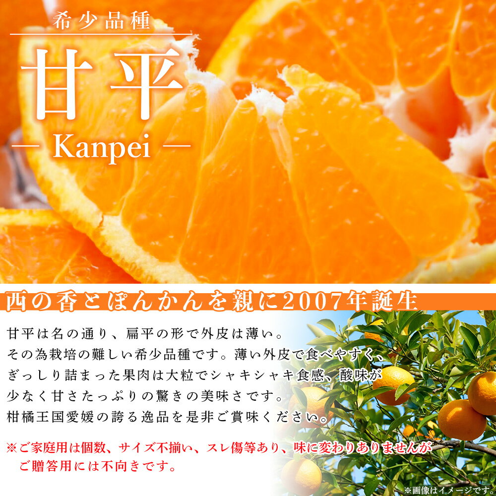 【ふるさと納税】訳あり＜愛媛県西予市産 甘平 ご家庭用 約2kg／4kg／7kg＞ 果物 フルーツ 柑橘類 みかん 蜜柑 ミカン オレンジ かんぺい カンペイ 期間限定 季節限定 甘い 食べて応援 特産品 宇都宮物産 愛媛県 西予市【常温】『2026年2月上旬～3月中旬迄に順次出荷予定』 サムネイル2