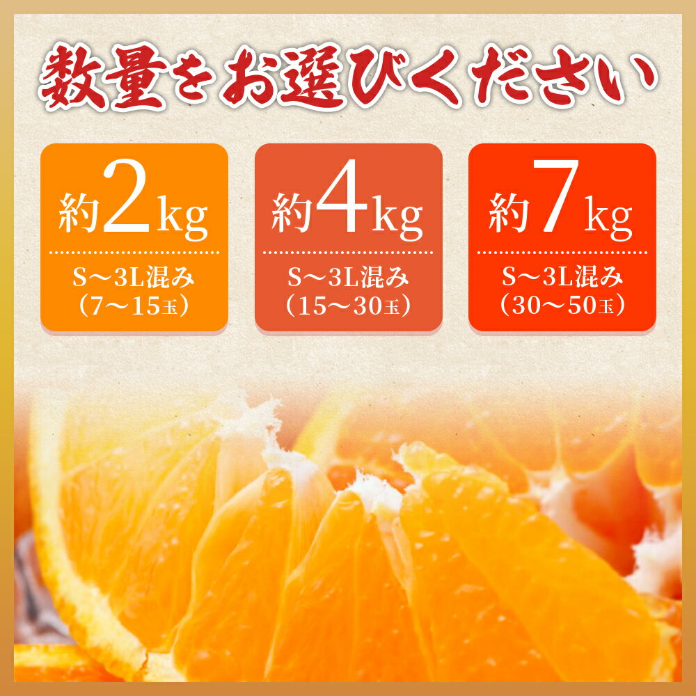 【ふるさと納税】訳あり＜愛媛県西予市産 甘平 ご家庭用 約2kg／4kg／7kg＞ 果物 フルーツ 柑橘類 みかん 蜜柑 ミカン オレンジ かんぺい カンペイ 期間限定 季節限定 甘い 食べて応援 特産品 宇都宮物産 愛媛県 西予市【常温】『2026年2月上旬～3月中旬迄に順次出荷予定』 サムネイル3