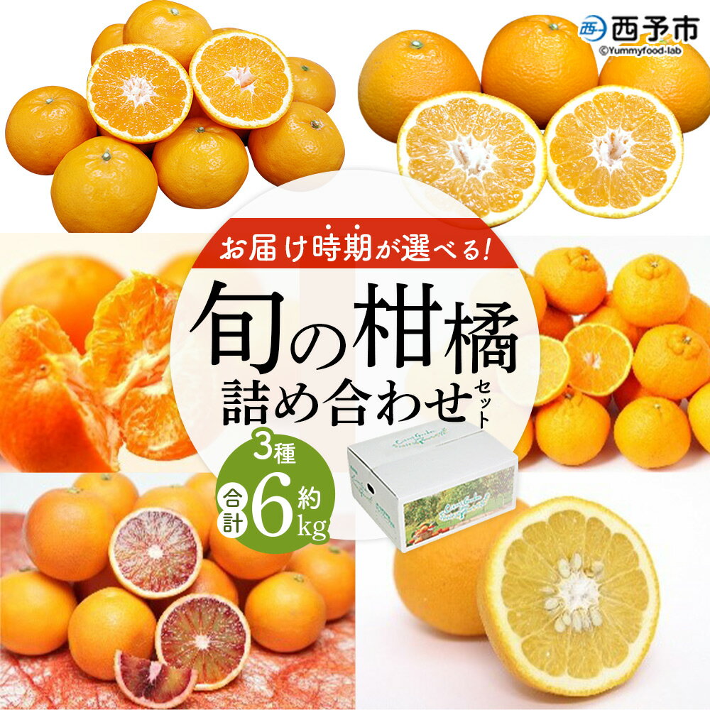 ＜お届け時期が選べる！旬の柑橘 詰め合わせセット 3種×各2kg 合計6kg＞ 果物 くだもの フルーツ みかん ミカン 蜜柑 オレンジ ブラッドオレンジ なつみ はるか ネーブル ポンカン 甘夏 特産品 宇都宮物産 愛媛県 西予市【常温】