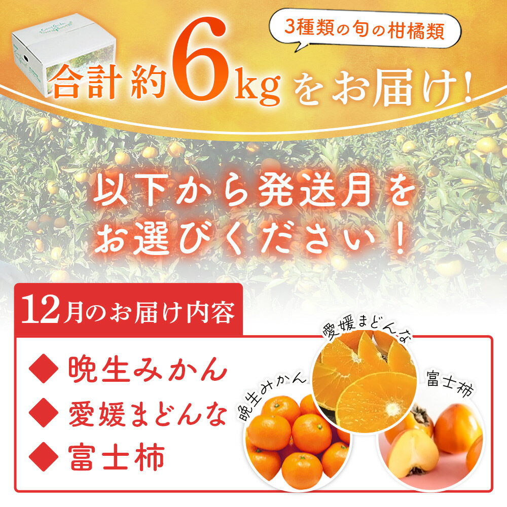 【ふるさと納税】＜お届け時期が選べる！旬の柑橘 詰め合わせセット 3種×各2kg 合計6kg＞ 果物 くだもの フルーツ みかん ミカン 蜜柑 オレンジ ブラッドオレンジ なつみ はるか ネーブル ポンカン 甘夏 特産品 宇都宮物産 愛媛県 西予市【常温】 - 画像2