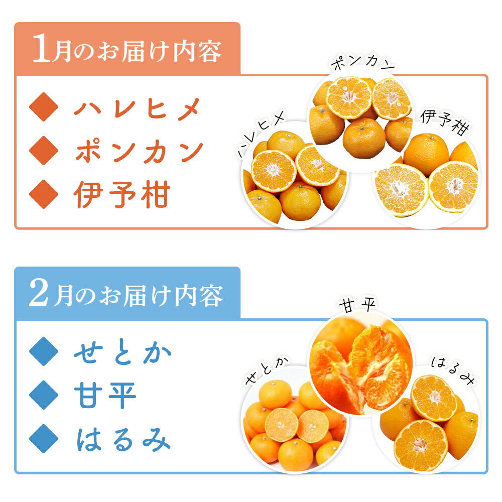 【ふるさと納税】＜お届け時期が選べる！旬の柑橘 詰め合わせセット 3種×各2kg 合計6kg＞ 果物 くだもの フルーツ みかん ミカン 蜜柑 オレンジ ブラッドオレンジ なつみ はるか ネーブル ポンカン 甘夏 特産品 宇都宮物産 愛媛県 西予市【常温】 - 画像3