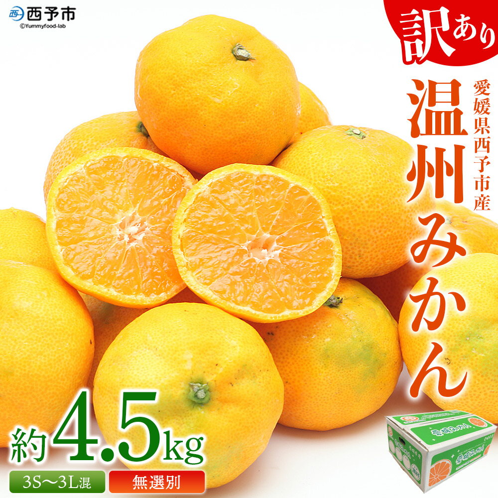 ＜愛媛県西予市産 訳あり 無選別 温州みかん 約4.5kg＞ 果物 くだもの フルーツ 柑橘 みかん 蜜柑 ミカン オレンジ 温州みかん 家庭用 サイズ混合 食べて応援 特産品 宇都宮物産 愛媛県 西予市【常温】『2025年10月中旬～2026年1月下旬迄に順次出荷予定』