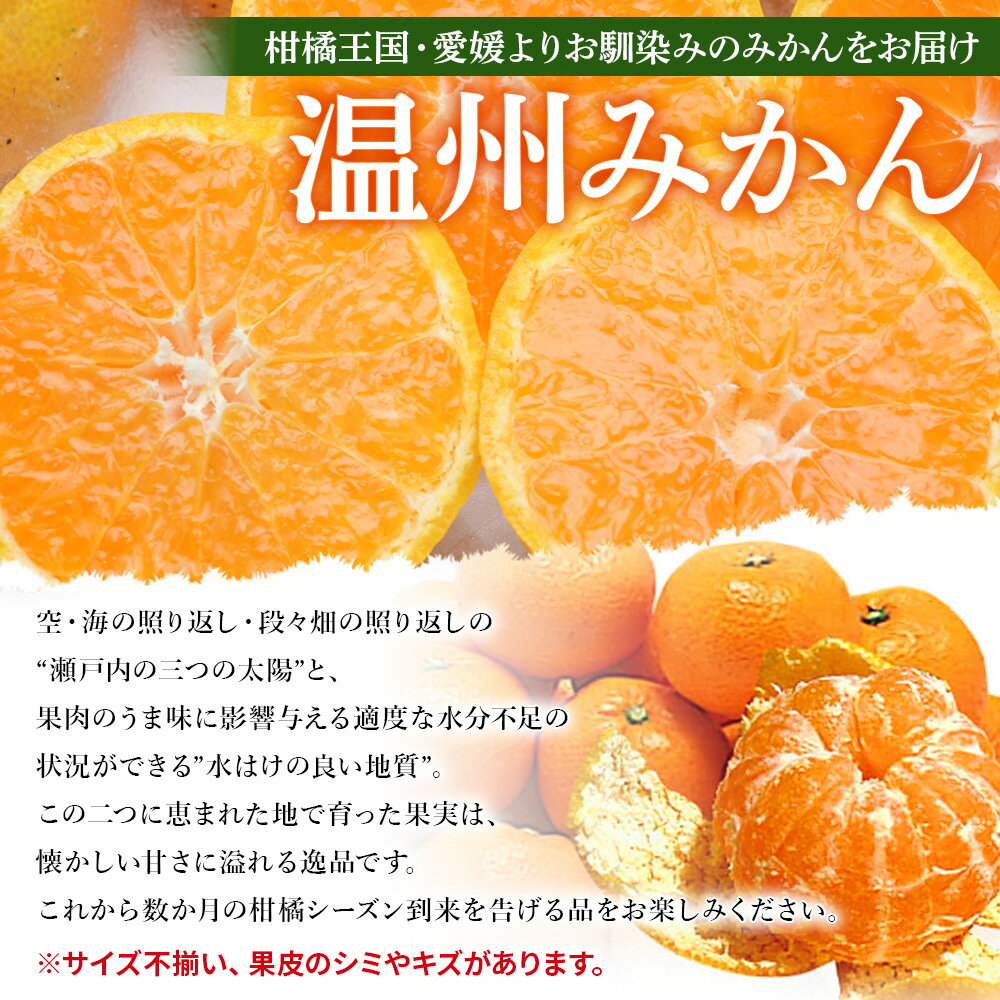 【ふるさと納税】＜愛媛県西予市産 訳あり 無選別 温州みかん 約4.5kg＞ 果物 くだもの フルーツ 柑橘 みかん 蜜柑 ミカン オレンジ 温州みかん 家庭用 サイズ混合 食べて応援 特産品 宇都宮物産 愛媛県 西予市【常温】『2025年10月中旬～2026年1月下旬迄に順次出荷予定』 サムネイル2