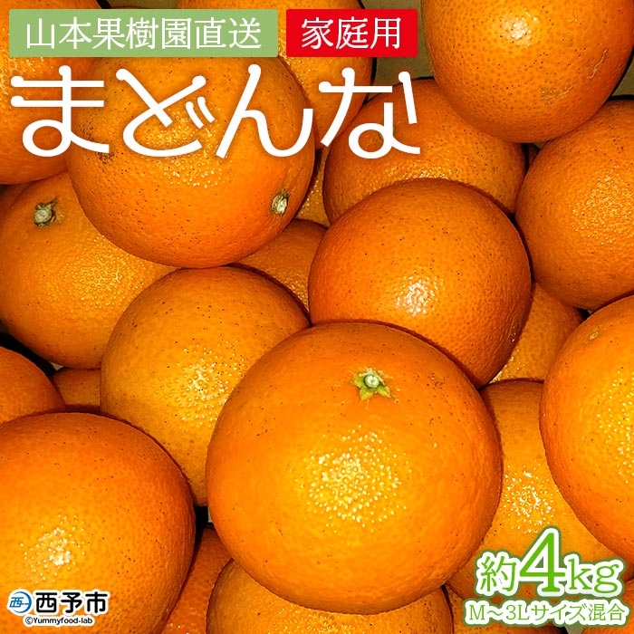 紅まどんなと同品種！＜まどんな 約4kg 家庭用 M～3Lサイズ混合＞果物 オレンジ フルーツ 柑橘 みかん 愛媛果試第28号 マドンナ 自宅用 特産品 産地直送 山本果樹園 西宇和 三瓶産 愛媛県 西予市【常温】『2025年12月上旬～12月下旬迄に順次出荷予定』