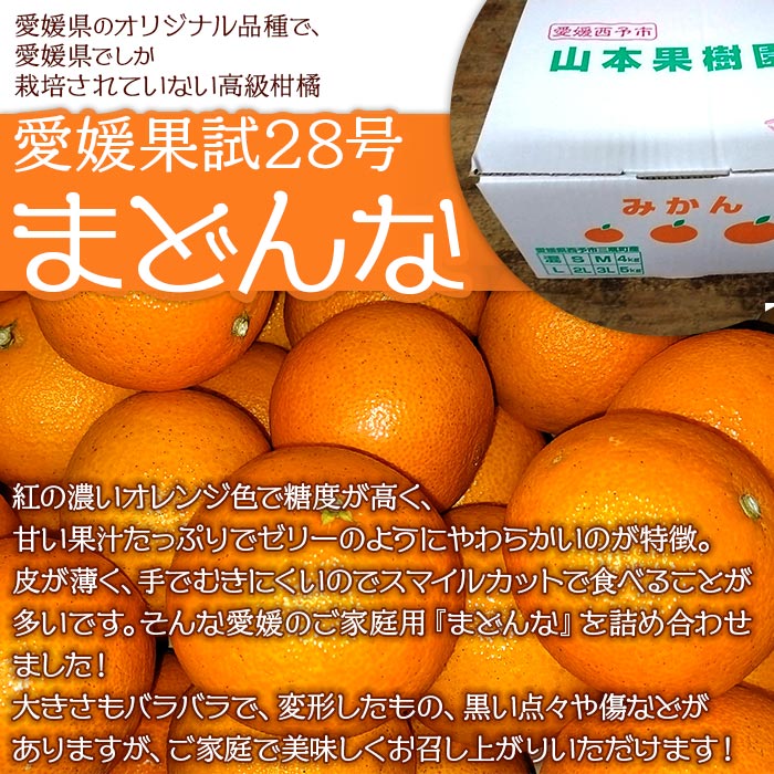 【ふるさと納税】紅まどんなと同品種！＜まどんな 約4kg 家庭用 M～3Lサイズ混合＞果物 オレンジ フルーツ 柑橘 みかん 愛媛果試第28号 マドンナ 自宅用 特産品 産地直送 山本果樹園 西宇和 三瓶産 愛媛県 西予市【常温】『2025年12月上旬～12月下旬迄に順次出荷予定』 サムネイル2