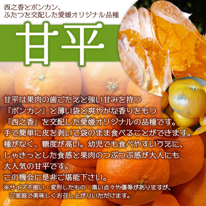 【ふるさと納税】＜甘平 約4kg 家庭用＞ 果物 くだもの オレンジ フルーツ かんぺい カンペイ 柑橘 みかん ミカン 蜜柑 季節限定 期間限定 食べて応援 特産品 産地直送 山本果樹園 西宇和 三瓶産 愛媛県 西予市【常温】『2026年2月上旬～2月下旬迄に順次出荷予定』 サムネイル2