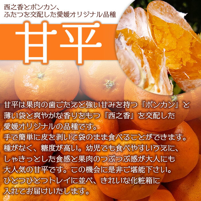 【ふるさと納税】＜甘平 約3kg 贈答用＞ 果物 オレンジ フルーツ かんぺい カンペイ 柑橘類 みかん ミカン 蜜柑 ポンカン 西之香 ギフト 贈り物 プレゼント 食べて応援 特産品 山本果樹園 西宇和 愛媛県 西予市 【常温】『2026年2月上旬～2月下旬迄に順次出荷予定』 サムネイル2